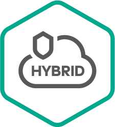 Hybrid Cloud Security​