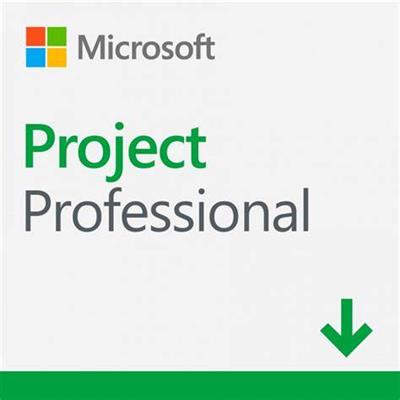 Microsoft Project Professional 2021